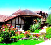 La Jolla Sea Side Cottage 2