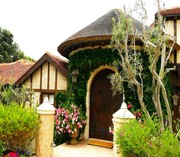 La Jolla Sea Side Cottage 33