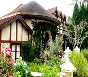 La Jolla Sea Side Cottage 35