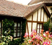 La Jolla Sea Side Cottage 36